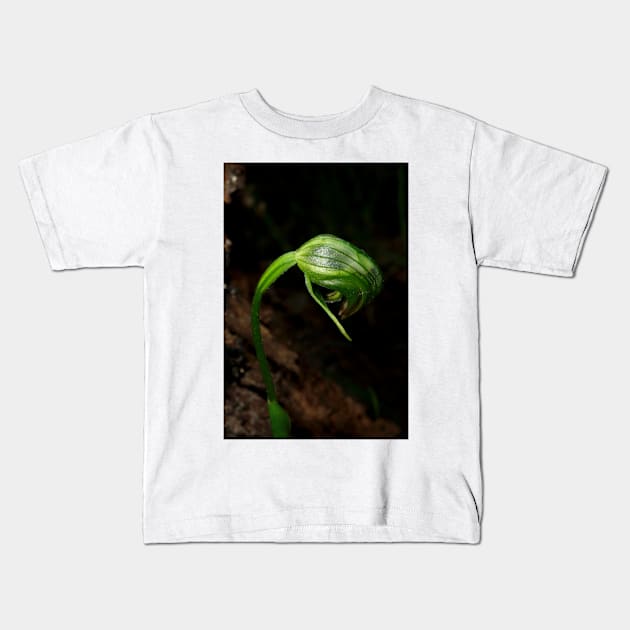 Blunt Greenhood Orchid Kids T-Shirt by GP1746